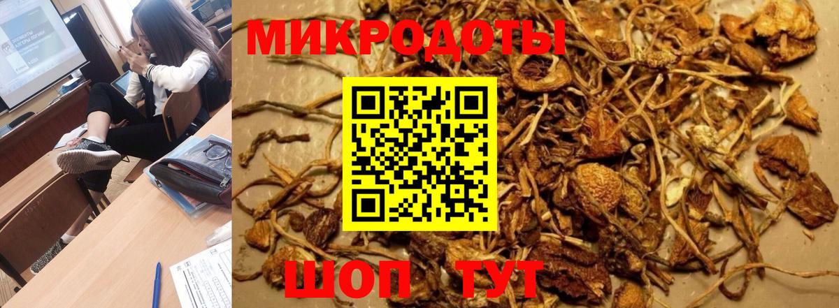 Псилоцибиновые грибы прущие грибы  Псилоцибиновые грибы прущие грибы  Абинск  Вход с VPN 